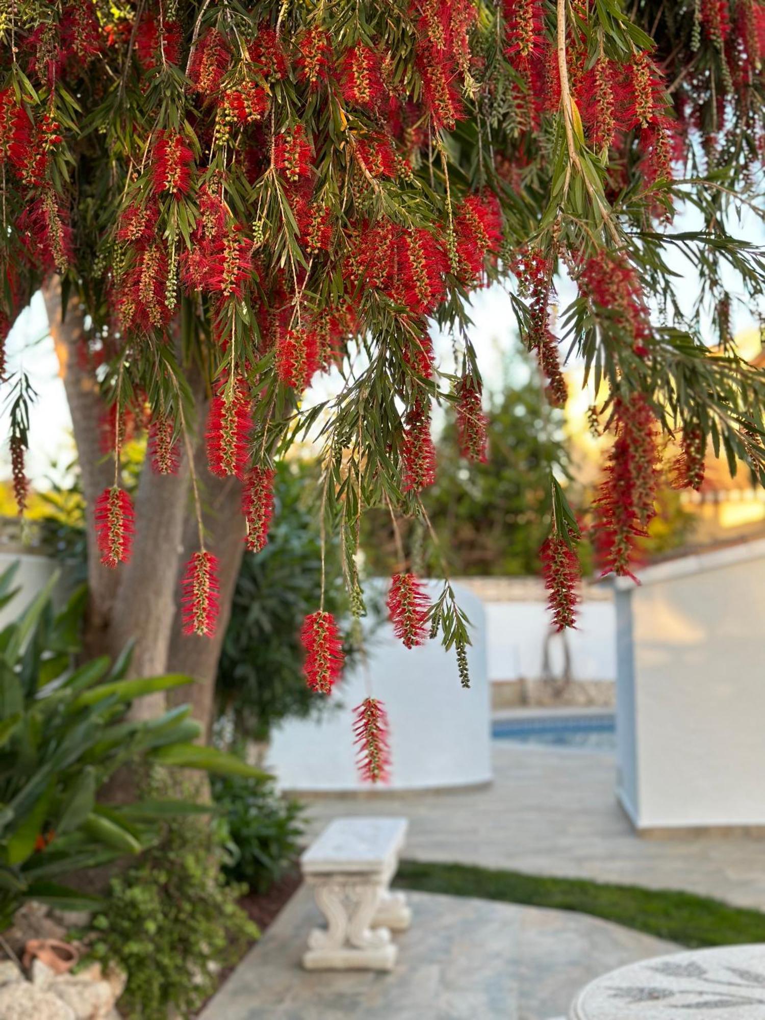 La Duna De Dénia Exterior foto