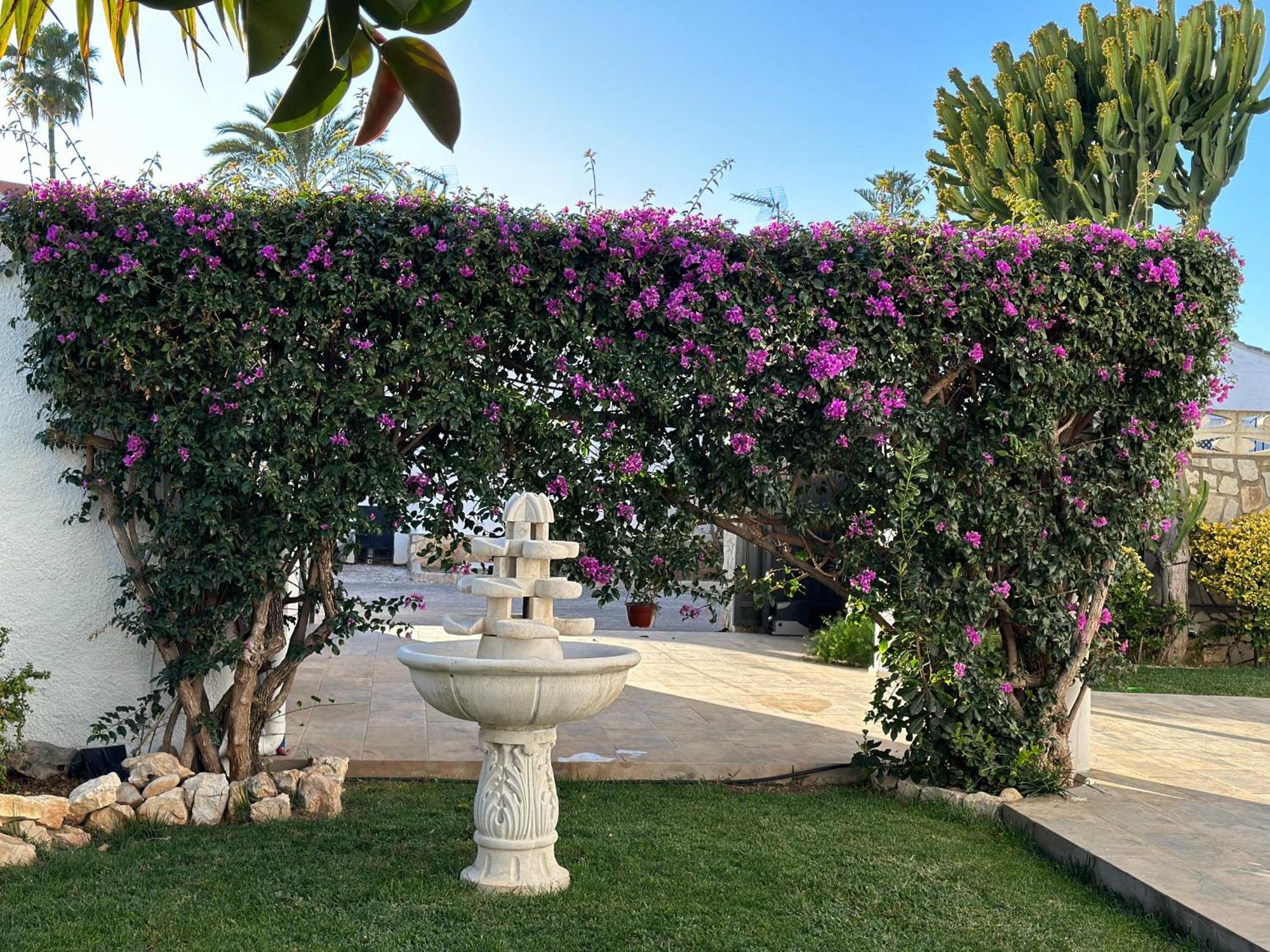 La Duna De Dénia Exterior foto